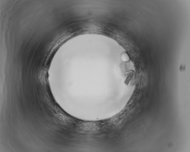 X0000091500146200708161241