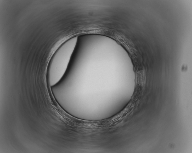 X0000091500147200708161241