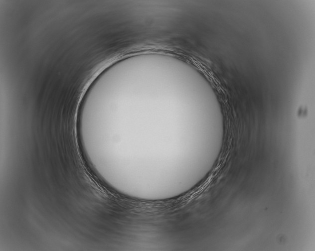 X0000091500148200708161241