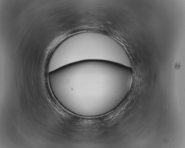 X0000091500149200708161241
