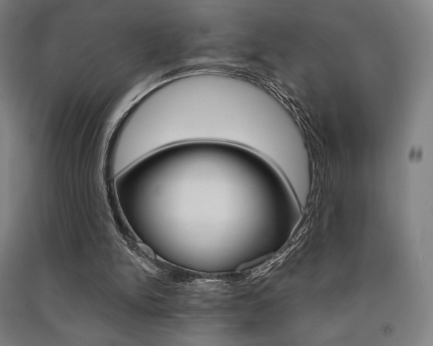 X0000091500150200708161241