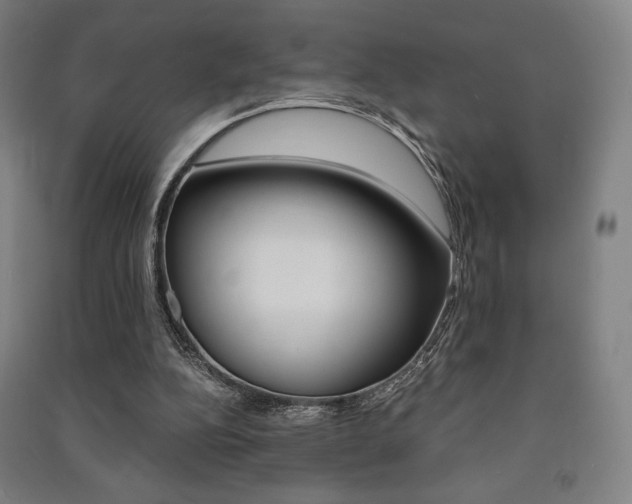 X0000091500152200708161241