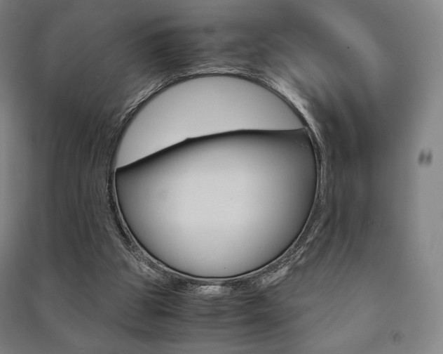X0000091500153200708161241
