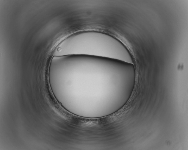X0000091500155200708161241
