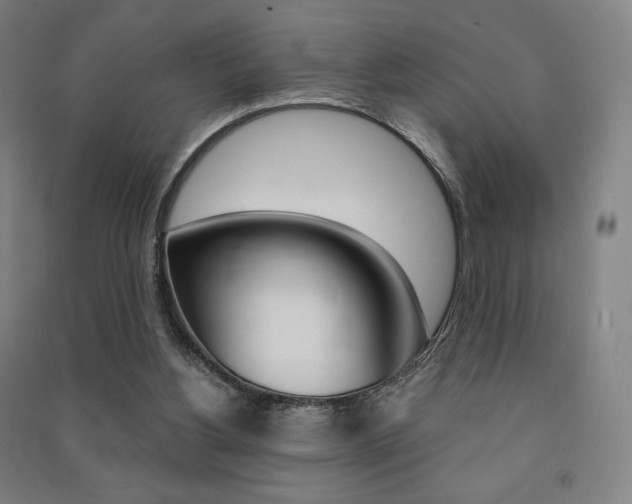 X0000091500156200708161241