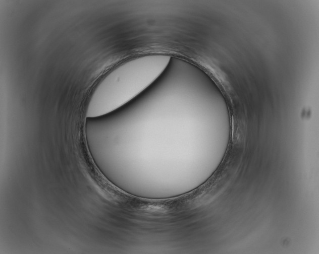 X0000091500157200708161241