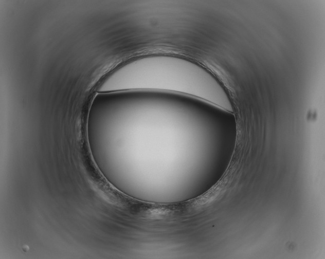 X0000091500158200708161241