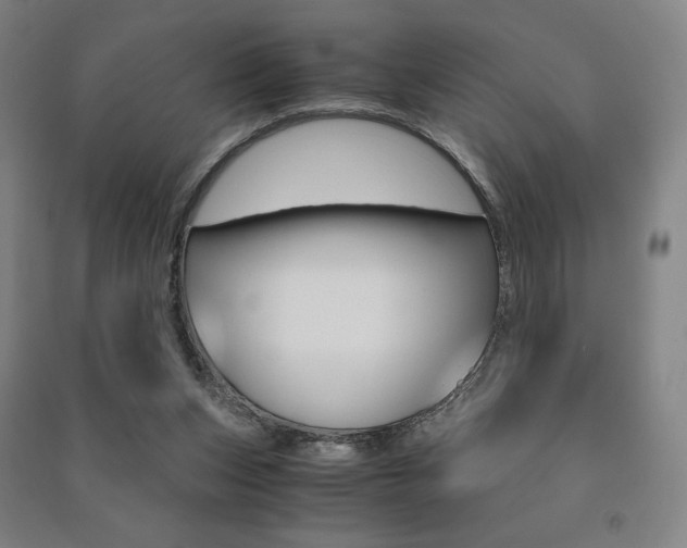 X0000091500159200708161241