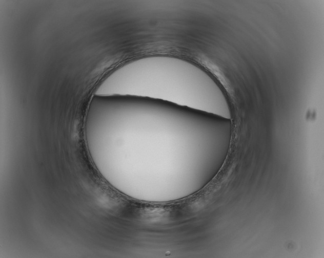 X0000091500161200708161241