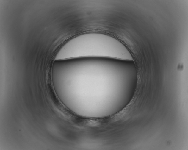 X0000091500166200708161241