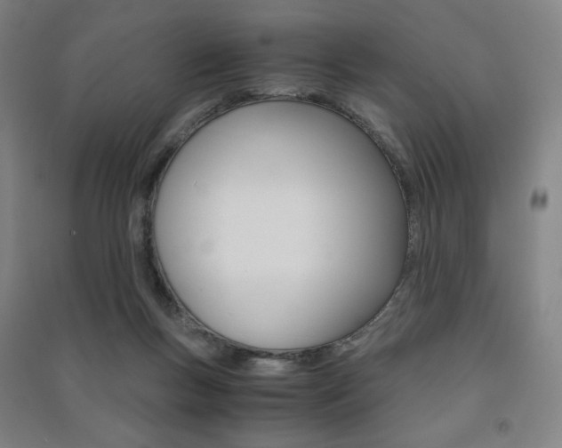 X0000091500167200708161241