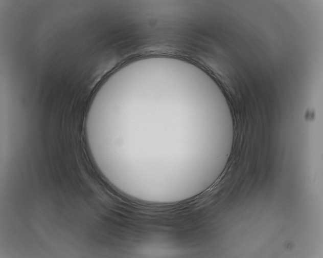 X0000091500168200708161241