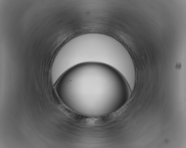 X0000091500172200708161241