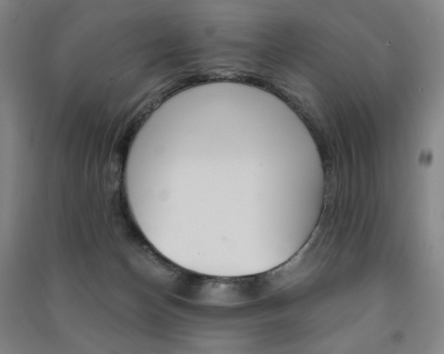 X0000091500174200708161241