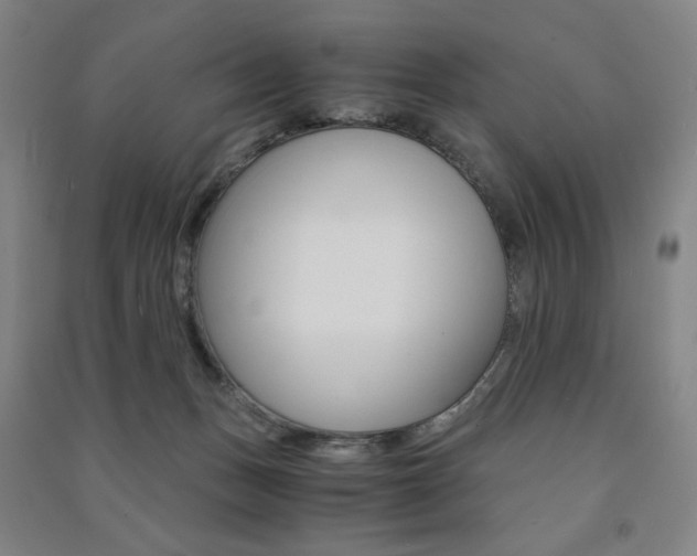 X0000091500175200708161241