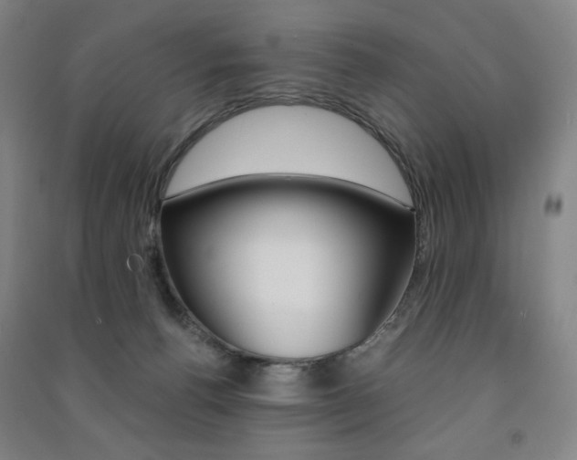 X0000091500176200708161241