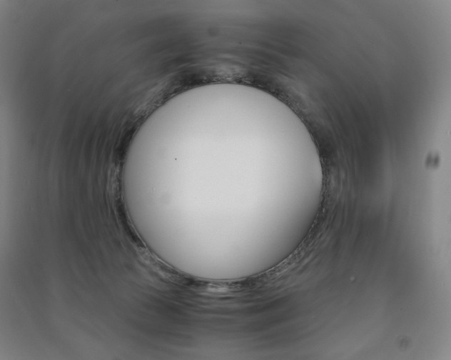 X0000091500177200708161241