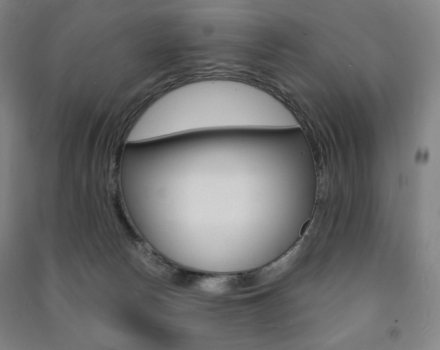 X0000091500178200708161241