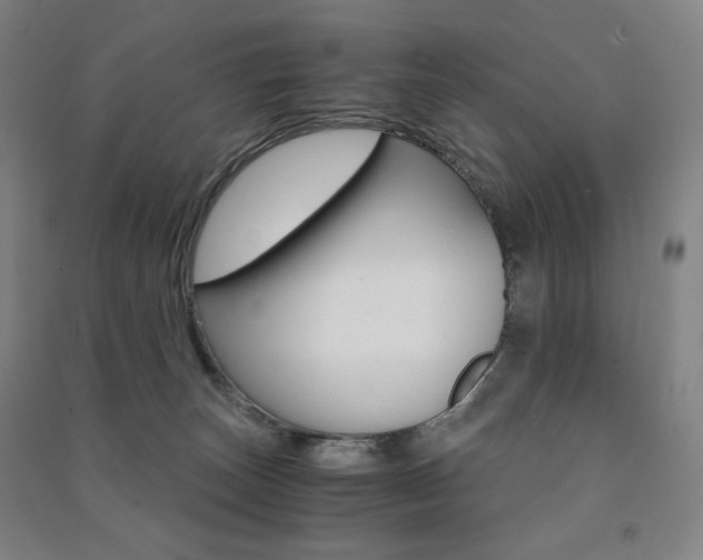 X0000091500179200708161241