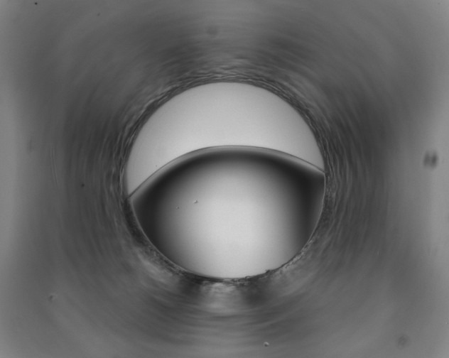 X0000091500180200708161241