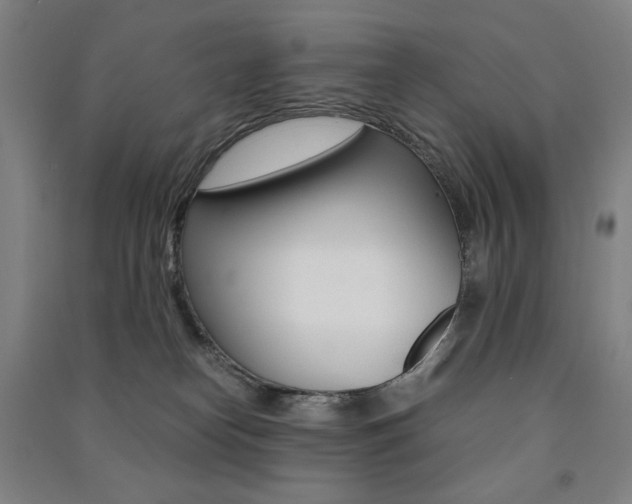 X0000091500182200708161241