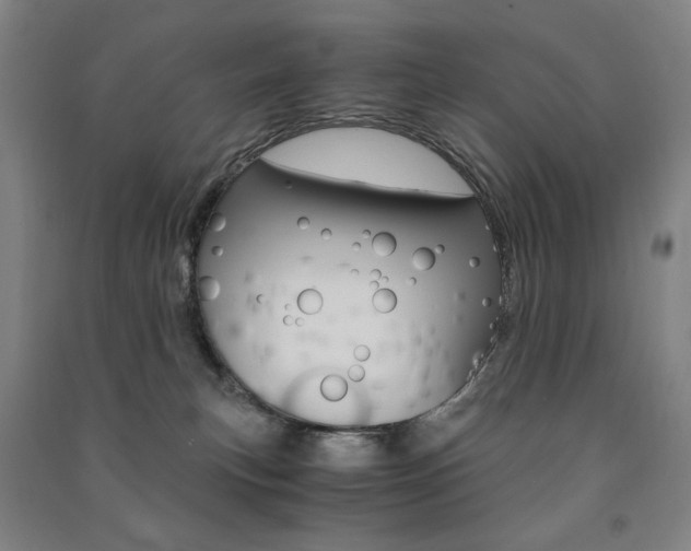 X0000091500183200708161241