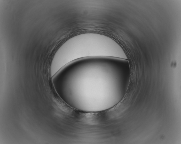 X0000091500184200708161241