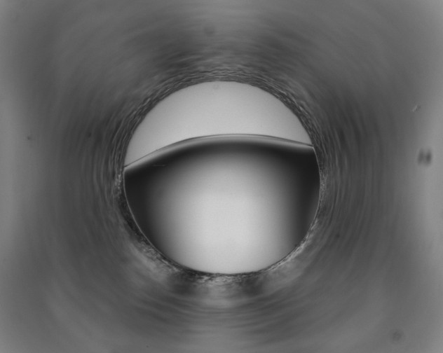 X0000091500186200708161241