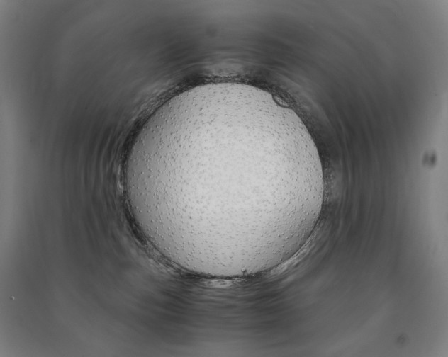 X0000091500187200708161241