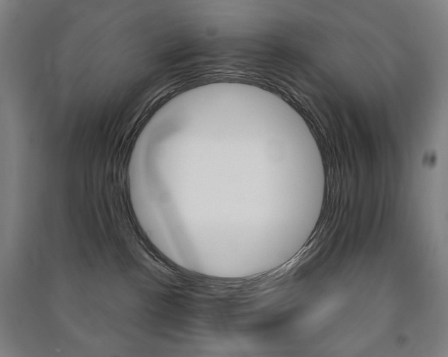 X0000091500188200708161241
