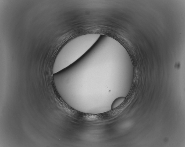 X0000091500189200708161241