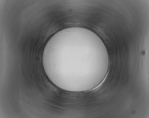 X0000091500190200708161241