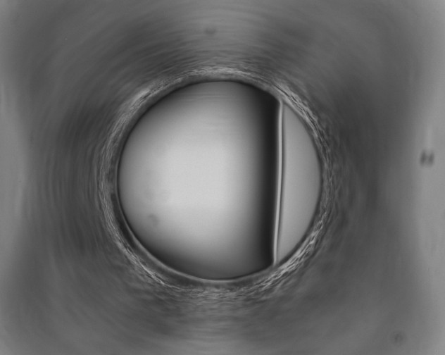 X0000091500193200708161241