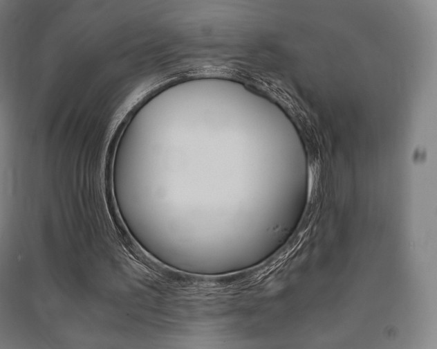 X0000091500195200708161241
