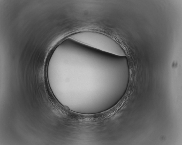 X0000091500196200708161241