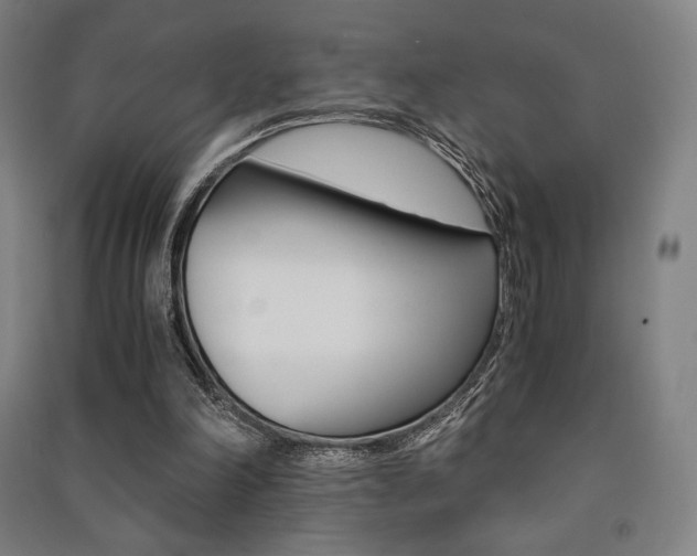 X0000091500198200708161241