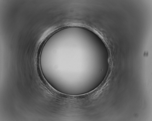 X0000091500199200708161241