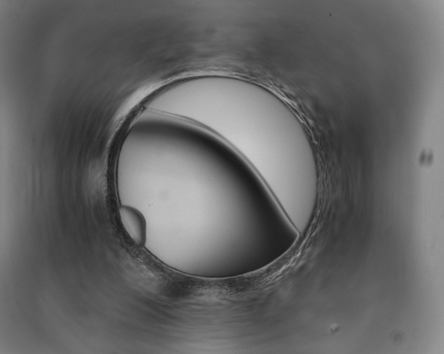 X0000091500200200708161241
