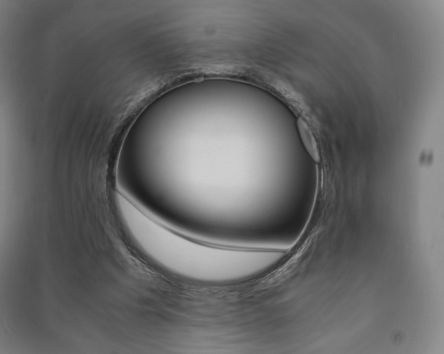 X0000091500201200708161241