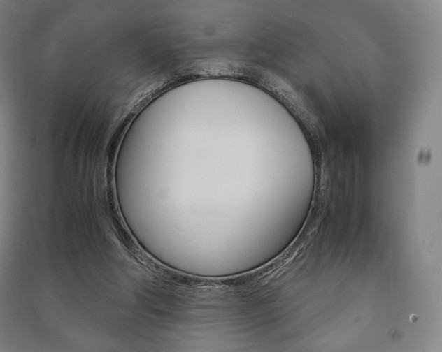 X0000091500202200708161241