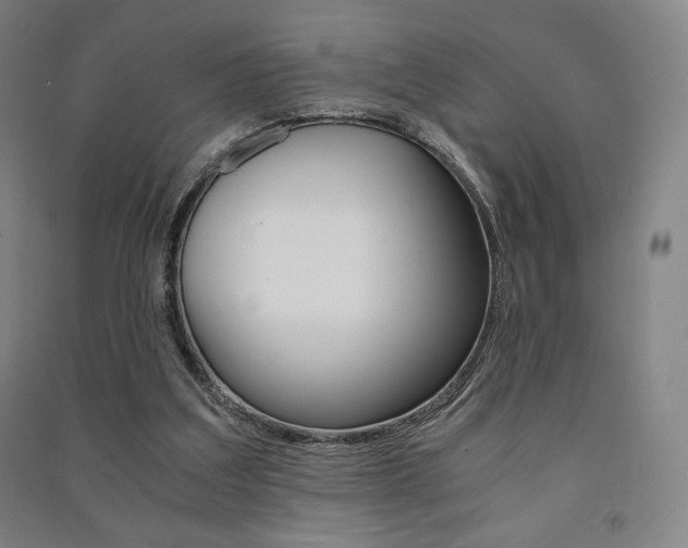 X0000091500203200708161241