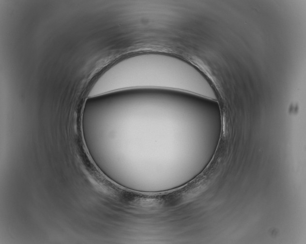 X0000091500205200708161241