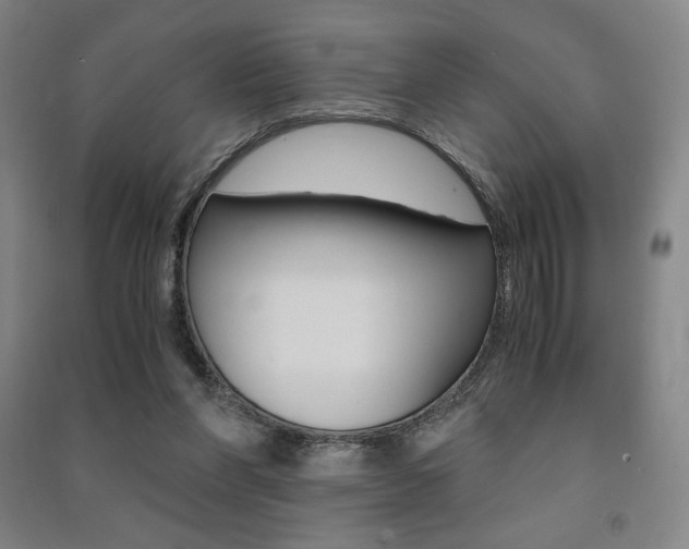 X0000091500206200708161241