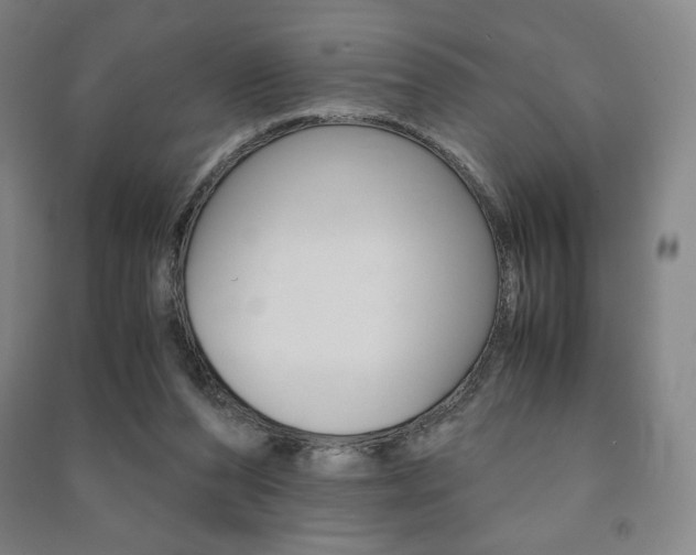 X0000091500208200708161240