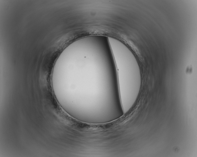 X0000091500209200708161240