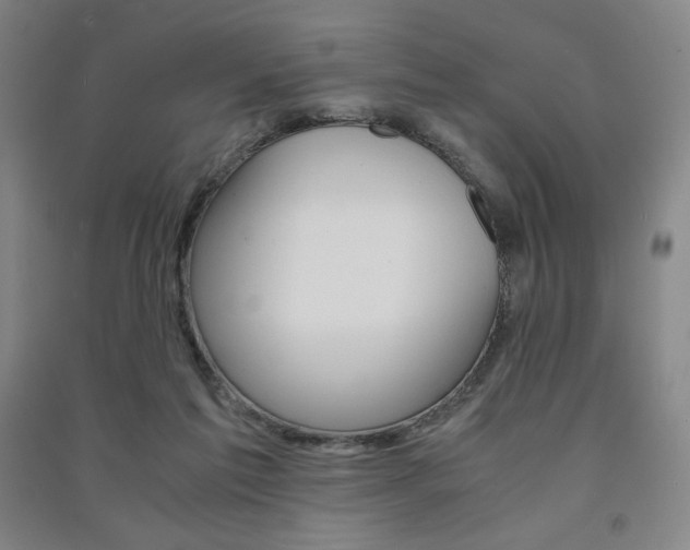 X0000091500213200708161240