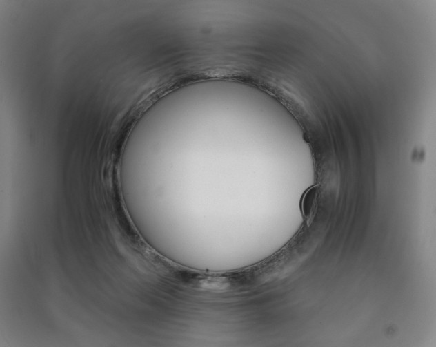 X0000091500214200708161240