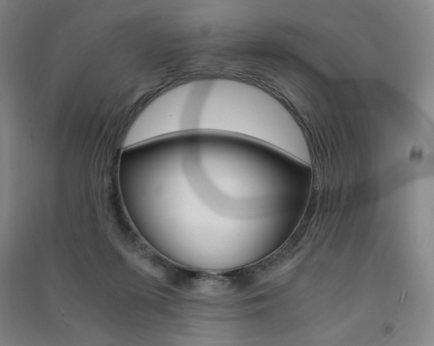 X0000091500215200708161240