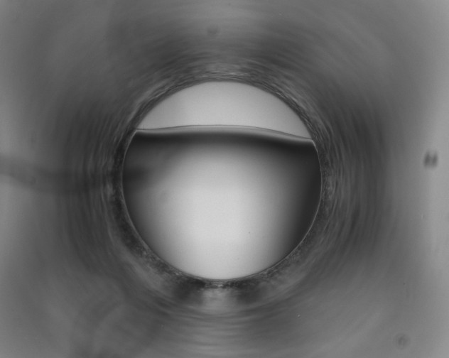 X0000091500216200708161240