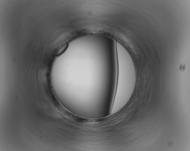 X0000091500217200708161240